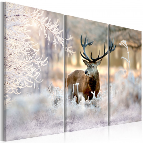 Seinapilt - Deer in the Cold I - 120x80