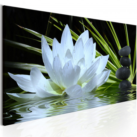 Seinapilt - Zen Garden (1 Part) Narrow - 150x50