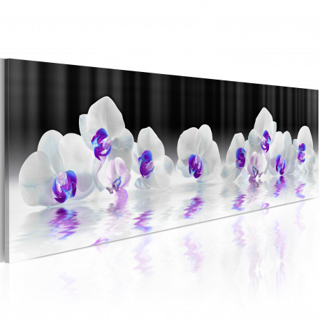 Seinapilt -  Water Orchids - 120x40