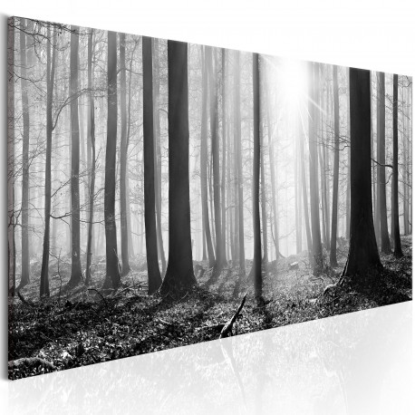 Seinapilt - Black and White Forest - 120x40