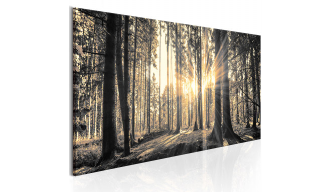 Seinapilt - Forest Sun - 120x40