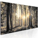 Seinapilt - Forest Sun - 135x45