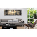 Seinapilt - Forest Sun - 120x40