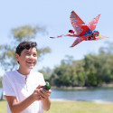 GO GO BIRD Interactive toy Dragon