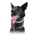 Cervical Collar for Dogs KVP Чёрный (13-48 cm)