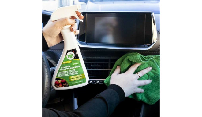 Dashboard Cleaner Motorkit MOT10320 500 ml Apple