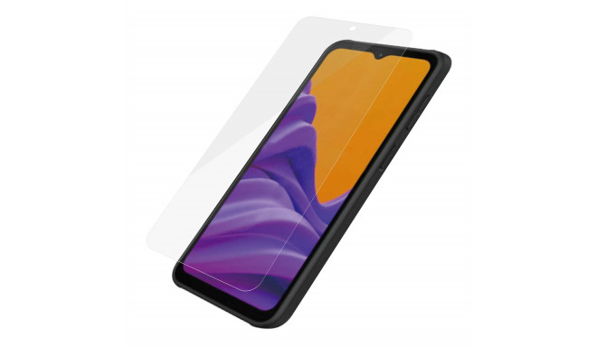 Kaitseklaas Samsung Galaxy Xcover6 Pro, ümbrisesõbralik, PanzerGlass