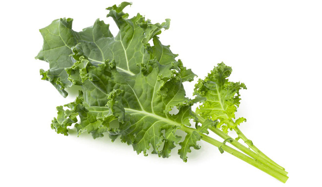 Click & Grow Smart Garden Refill Lehtkapsas 3tk