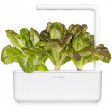 Click & Grow Smart Refill Red romaine lettuce 3pcs