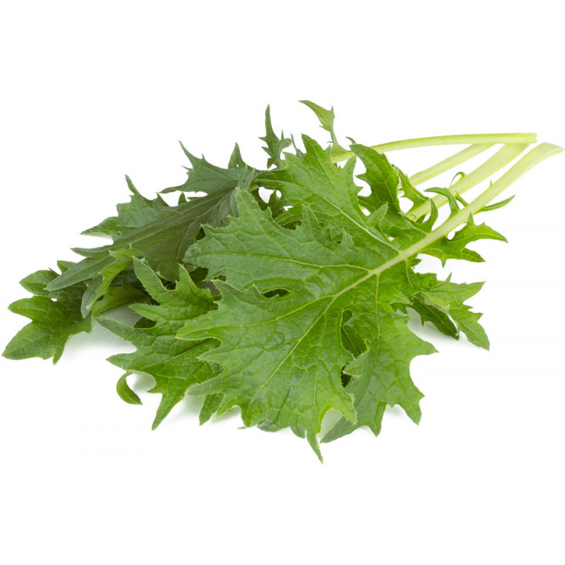 Click & Grow Smart Garden Refill Lehtnaeris 3tk