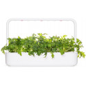 Click & Grow Smart Refill Lehtnaeris 3tk