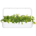 Click & Grow Smart Refill Turnip 3pcs