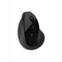 Connect IT CMO-2700-BK mouse Right-hand RF Wireless