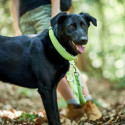 Dog collar Hunter Vario Plus Threads Size L Lime (40-60 cm) Dog collar Hunter Vario Plus Threads Size L Lime (40-60 cm)