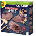 SES Craft set Excavate fossils