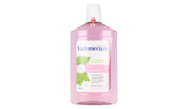 Mouthwash Vademecum Enjuague Bucal Sin Alcohol 700 ml