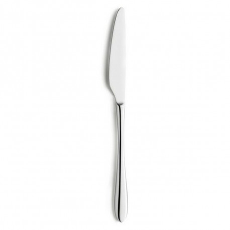 Knife Set Amefa Cuba Metal 24,2 cm 12 Units