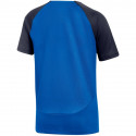 Nike DF Academy Pro SS Top K Jr DH9277 463 T-shirt (S)