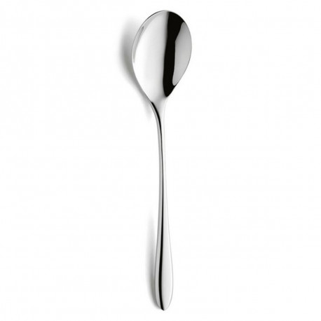 Set of Spoons Amefa Cuba Metal 21,6 cm 12 Units