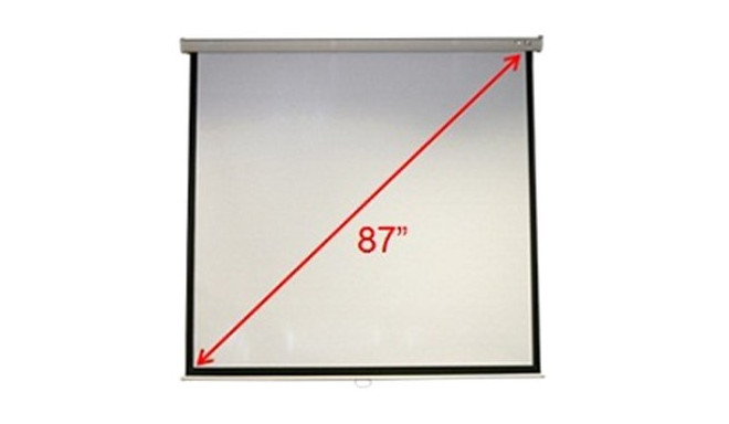 Acer M87-S01M 1:1 - screen for projector - 174x174cm