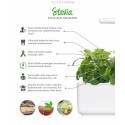 Click & Grow Smart Herb Garden кассета, Стевия (3 шт)