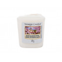 Yankee Candle Sakura Blossom Festival (49ml)