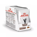 ROYAL CANIN Gastrointestinal Wet cat food Chunks in sauce Poultry, Pork 12x85 g