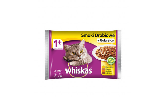 ?Whiskas 4770608241049 cats moist food 100 g