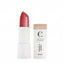 CARAMEL BARRA DE LABIOS Nº244 ROUGE MATRIOCHKA 1UN