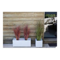 Plant pot EDA White (5 cm)