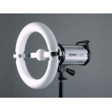 Quantuum Fomex N-Light 300W lamp only