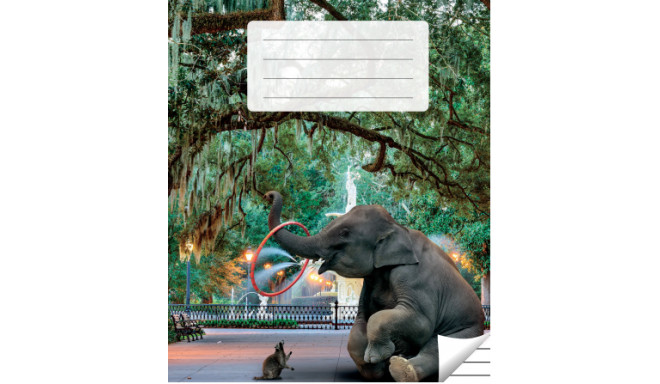 Kaustik, jooneline, 36 lehte