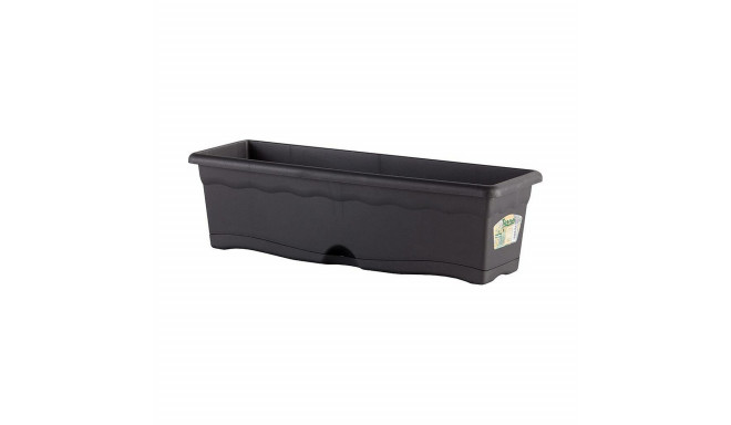 Alusega Lillepott Plastiken Antratsiithall polüpropüleen 50 x 20 cm