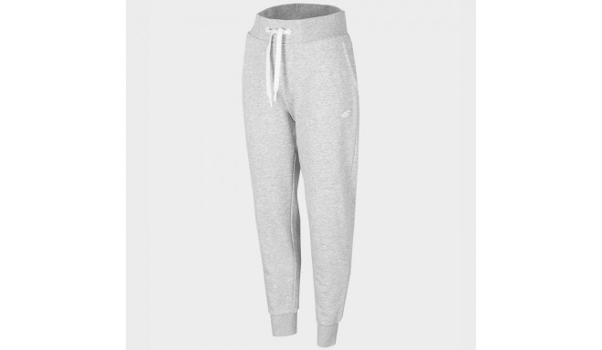 Trousers 4F W H4Z22-SPDD351 27M (XL)
