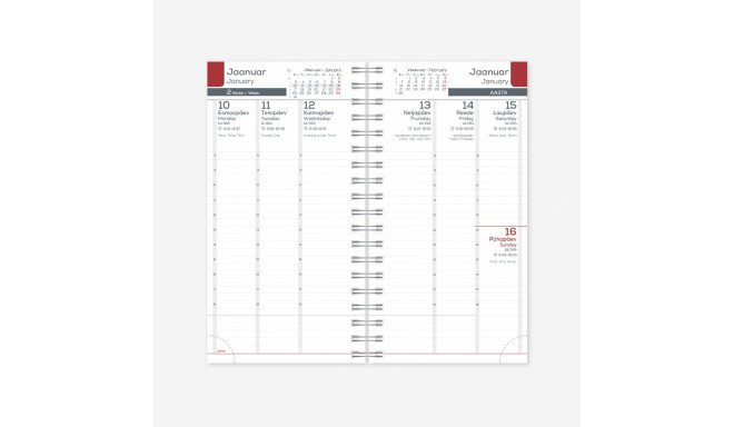 Kalendrisisu Midimärkmik Spirex Nädal V 2025a