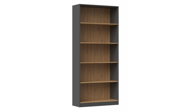 Topeshop R80 ANT/ART office bookcase