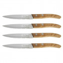 Knife Set Amefa Forest Metal Stainless steel 4 Units