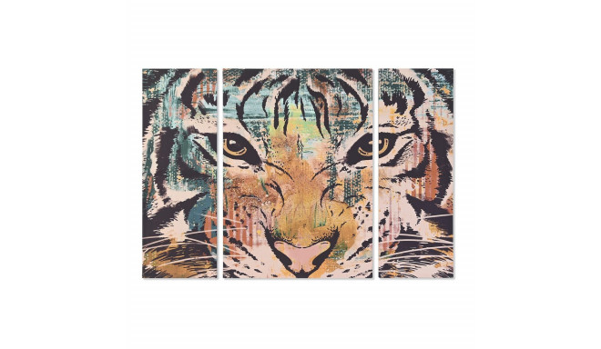 Set of 3 pictures DKD Home Decor Colonial Tiger 140 x 3,8 x 100 cm