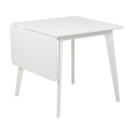 Dining table ROXBY, 80/120x80xH76cm, white