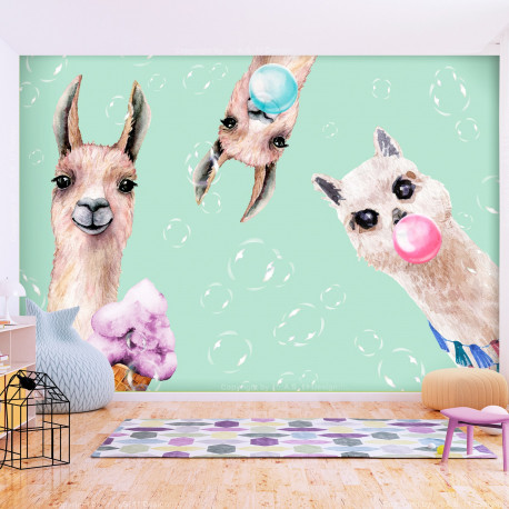 Fototapeet - Crazy Llamas - 250x175