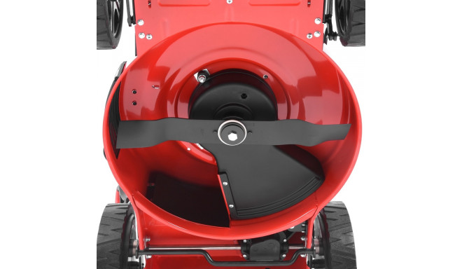 Muruniiduk HECHT 5484 SXE 5in1