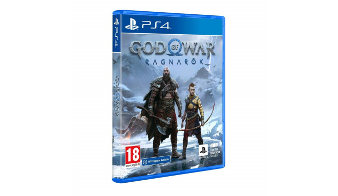 PlayStation 4 Video Game Sony GOD OF WAR RAGNAROK