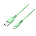 TB kaabel USB-A - USB-C Cable 1m, roheline