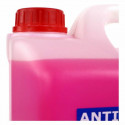 Antifreeze OCC Motorsport 10% Pink (5 L)