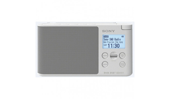 Portable Digital Radio Sony XDR-S41D DAB/DAB+