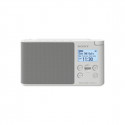 Portable Digital Radio Sony XDR-S41D DAB/DAB+