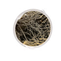 Godox Inner reflector  Gold /Silver