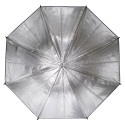 Caruba Flits Paraplu Zilver/Zwart 83cm