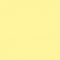 Superior Background Paper 78 Sunshine 2.72 x 11m