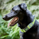 Dog collar Hunter Vario Plus Threads Size L Lime (40-60 cm) Dog collar Hunter Vario Plus Threads Size L Lime (40-60 cm)